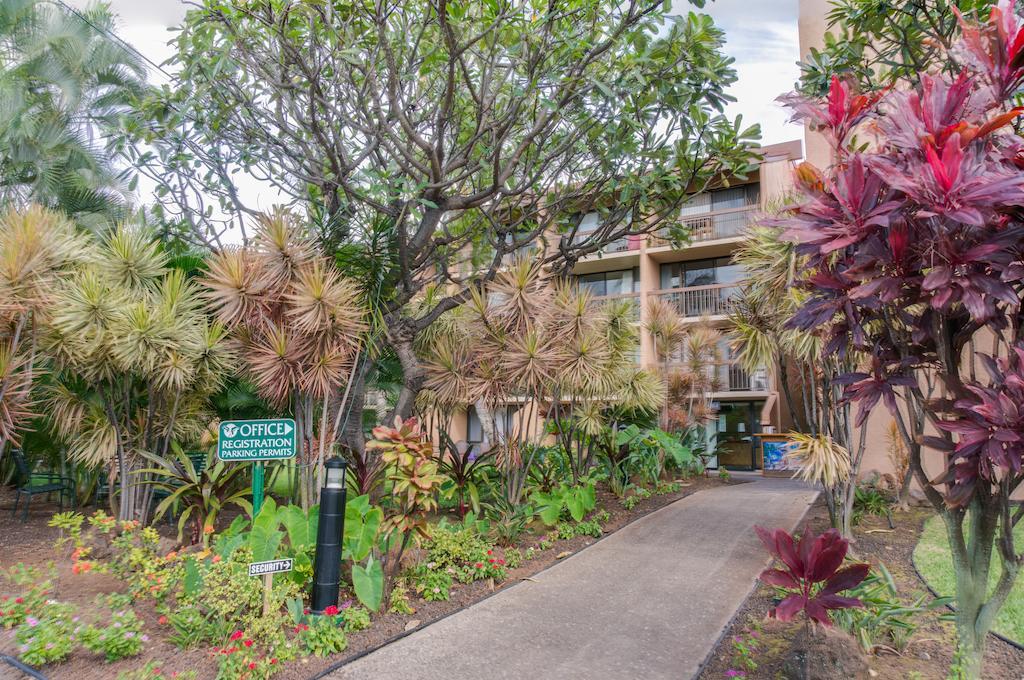 Maui Vista By Maui Condo And Home Кихей Экстерьер фото